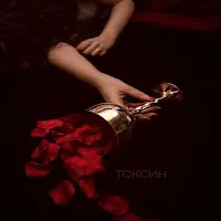 Valvi — Токсин — обложка